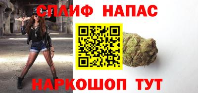 прущие грибы Ставрополь