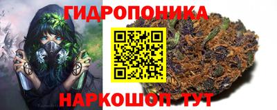 прущие грибы Ставрополь