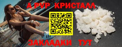 прущие грибы Ставрополь