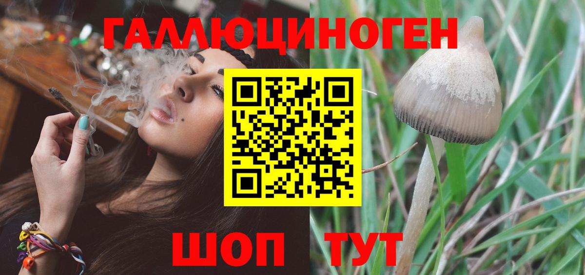 Галлюциногенные грибы Psilocybe Серпухов